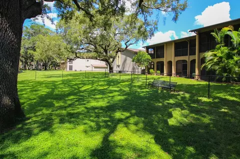 5659 Del Prado Dr, Tampa, FL 33617 photo 23