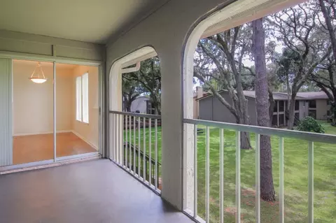5659 Del Prado Dr, Tampa, FL 33617 photo 48
