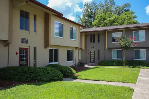 5659 Del Prado Dr, Tampa, FL 33617 photo 26