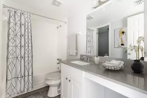 5659 Del Prado Dr, Tampa, FL 33617 photo 6