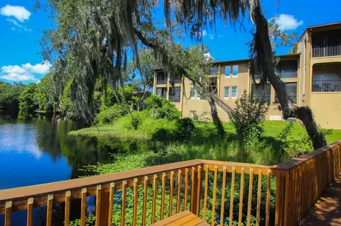 5659 Del Prado Dr, Tampa, FL 33617 photo 31