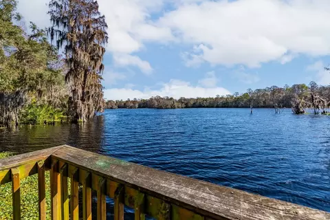 5659 Del Prado Dr, Tampa, FL 33617 photo 110