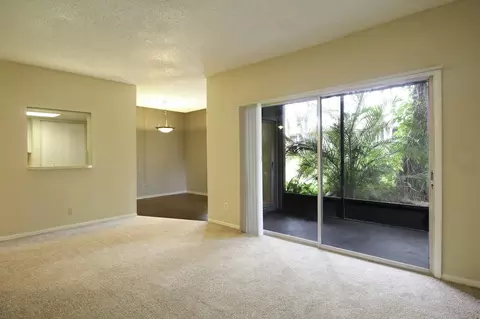 5659 Del Prado Dr, Tampa, FL 33617 photo 40