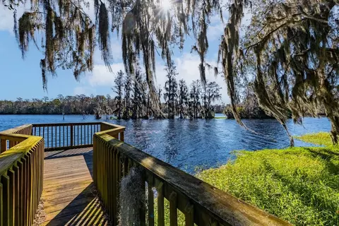 5659 Del Prado Dr, Tampa, FL 33617 photo 112