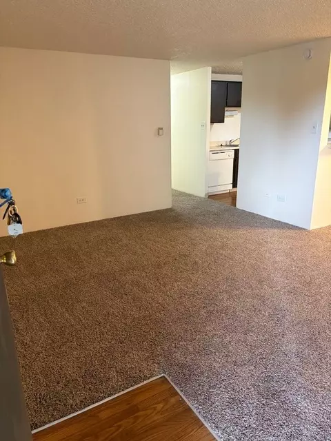 9700 W 51st Pl, Arvada, CO 80002 photo 29