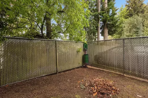 12007 15th Ave NE, Seattle, WA 98125 photo 41