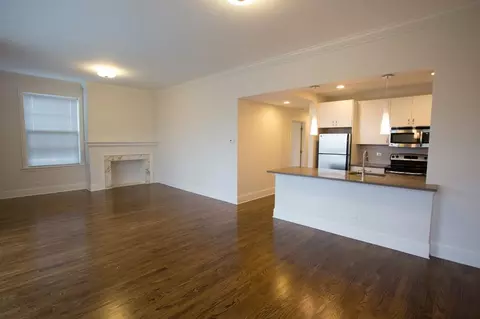 4850 S Drexel Blvd, Chicago, IL 60615 photo 33