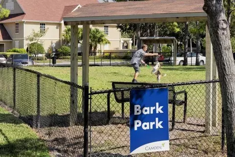 11302 W Hillsborough Ave, Tampa, FL 33635 photo 18