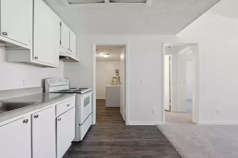 2811 Ruleme St, Eustis, FL 32726 photo 6