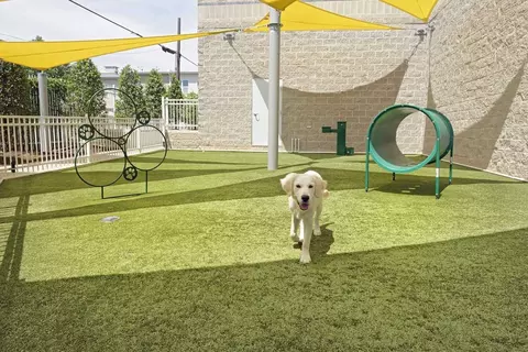 1345 S Capitol St SW, Washington, DC 20003 photo 23