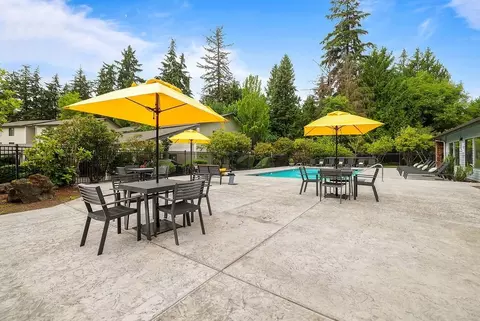 3205 115th Ave NE, Bellevue, WA 98004 photo 31