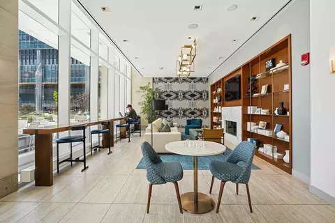313 W Wolf Point Plaza Dr, Chicago, IL 60654 photo 12