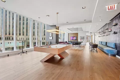 313 W Wolf Point Plaza Dr, Chicago, IL 60654 photo 39