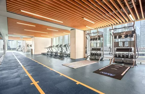 313 W Wolf Point Plaza Dr, Chicago, IL 60654 photo 28