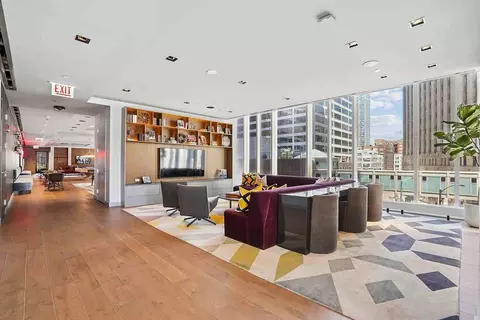 313 W Wolf Point Plaza Dr, Chicago, IL 60654 photo 37