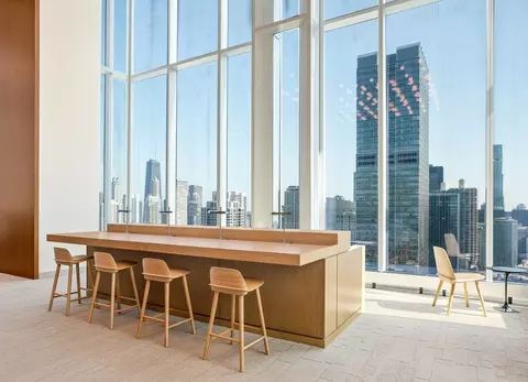 313 W Wolf Point Plaza Dr, Chicago, IL 60654 photo 16