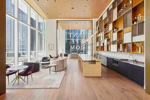 313 W Wolf Point Plaza Dr, Chicago, IL 60654 photo 36