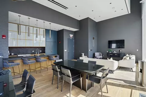 313 W Wolf Point Plaza Dr, Chicago, IL 60654 photo 29