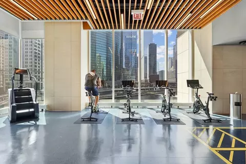 313 W Wolf Point Plaza Dr, Chicago, IL 60654 photo 25