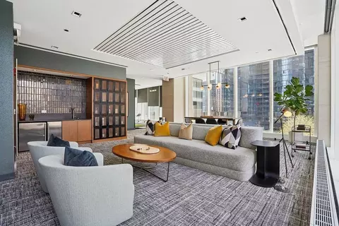 313 W Wolf Point Plaza Dr, Chicago, IL 60654 photo 42