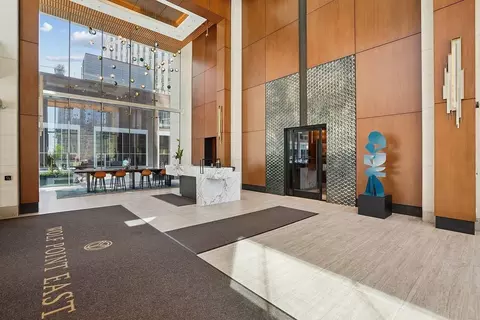 313 W Wolf Point Plaza Dr, Chicago, IL 60654 photo 10