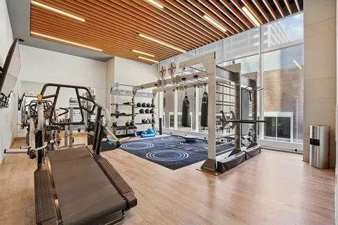 313 W Wolf Point Plaza Dr, Chicago, IL 60654 photo 21