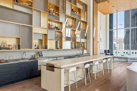 313 W Wolf Point Plaza Dr, Chicago, IL 60654 photo 35