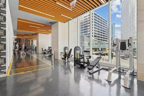 313 W Wolf Point Plaza Dr, Chicago, IL 60654 photo 23