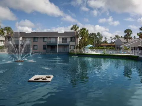 2902 Sycamore Ct, Tampa, FL 33613 photo 67
