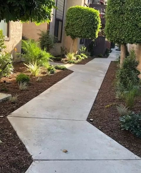 10025 Imperial Hwy, Downey, CA 90242 photo 19