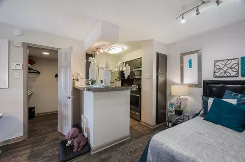 3939 Rosemeade Pkwy, Dallas, TX 75287 photo 50