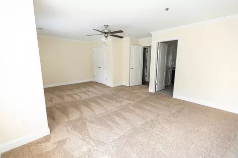 233 Whitehall Rd, Athens, GA 30605