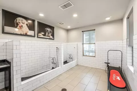 650 Tapestry Ln, Brandon, FL 33511 photo 156