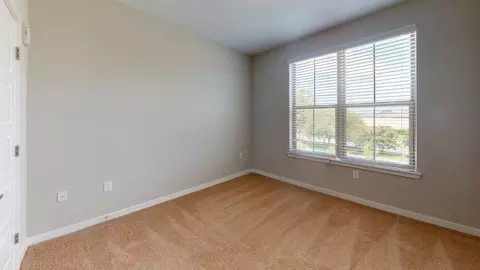 650 Tapestry Ln, Brandon, FL 33511 photo 89