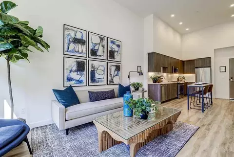 1030 Castro St, Mountain View, CA 94040 photo 10