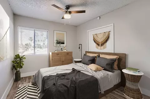 9202 N 19th Ave, Phoenix, AZ 85021 photo 32