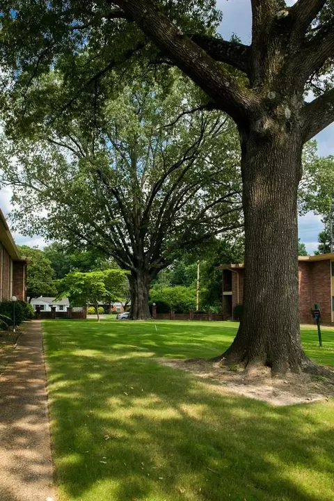 427 N Graham St, Memphis, TN 38122