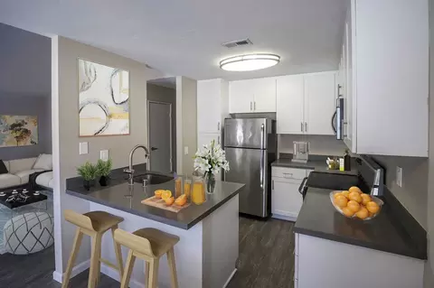 2939 Unicornio St, Carlsbad, CA 92009