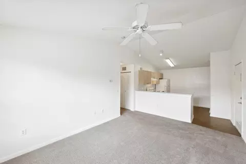 8775 Wellesley Lake Dr, Orlando, FL 32818 photo 22