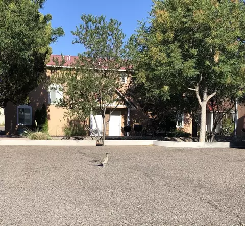 501 Girard Blvd SE, Albuquerque, NM 87106