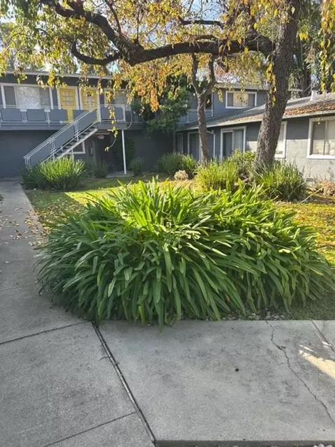 2491 2483 2485 2489 2491 Whitney Dr, Mountain View, CA 94043 photo 9