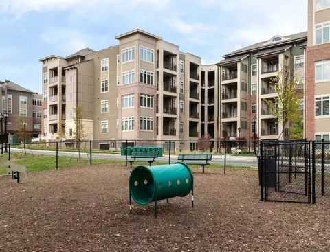 5350 Pinehurst Park Dr, Charlotte, NC 28211 photo 10