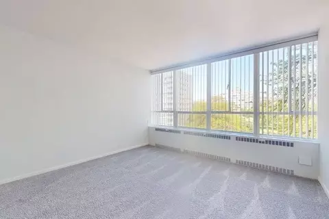 3233 S King Dr, Chicago, IL 60616