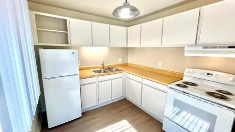 2321 S Race St, Denver, CO 80210 photo 5