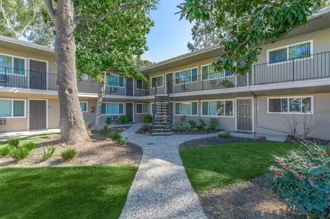 3366 Mt Diablo Blvd, Lafayette, CA 94549 photo 2