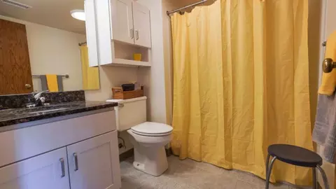 505 N Carroll St, Madison, WI 53703 photo 18