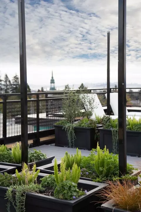 1935 Addison St, Berkeley, CA 94704 photo 8