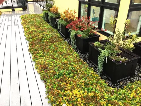 1935 Addison St, Berkeley, CA 94704 photo 9