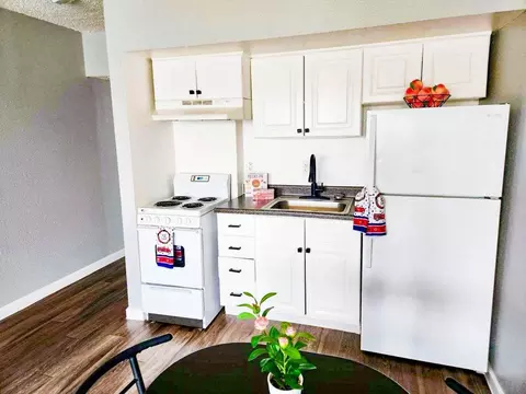 110 Ogden Ave, Las Vegas, NV 89101 photo 10