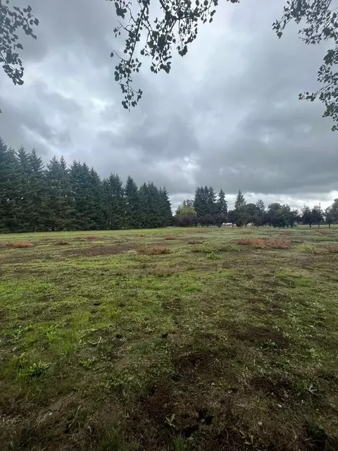 1625 River Loop 1, Eugene, OR 97404 photo 3
